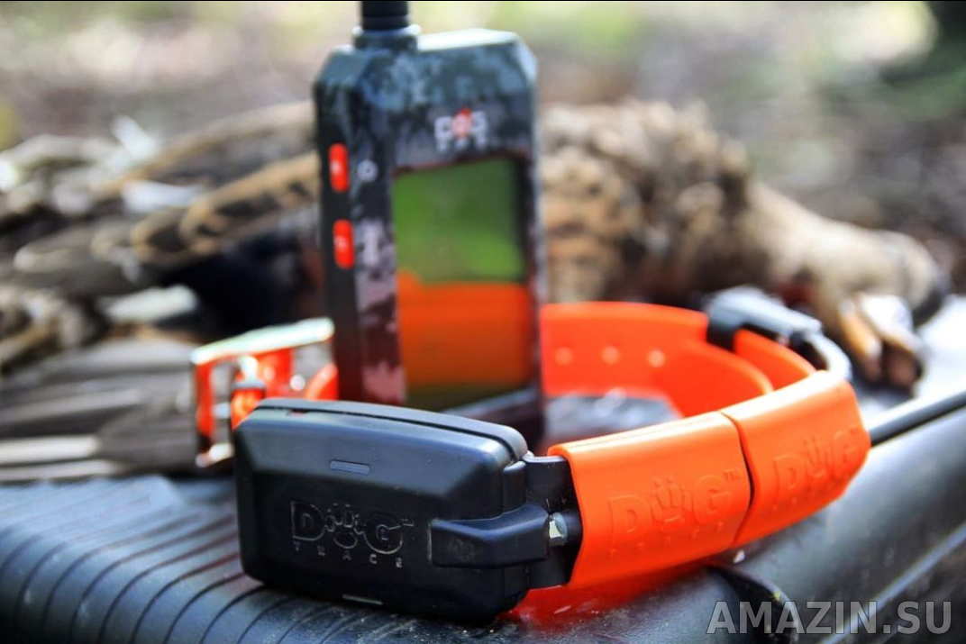 GPS ошейник для охотничьих собак
