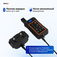 Кликните для увеличения изображения