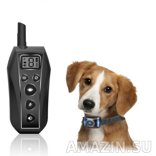 радио ошейники для собак купить