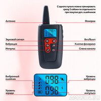 Кликните для увеличения изображения