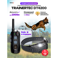 Trainertec DT4200