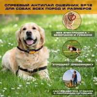 Кликните для увеличения изображения