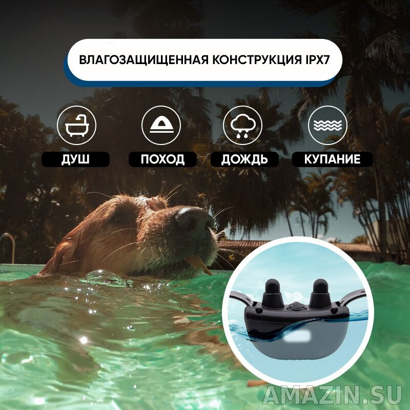 Купить электронный ошейник для собак Amazin KT689