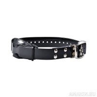 Кликните для увеличения изображения