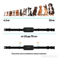 Кликните для увеличения изображения