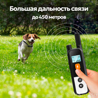 Кликните для увеличения изображения