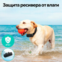 Кликните для увеличения изображения