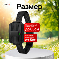 Кликните для увеличения изображения