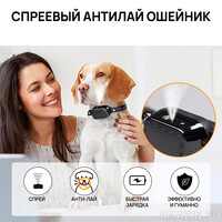 Кликните для увеличения изображения