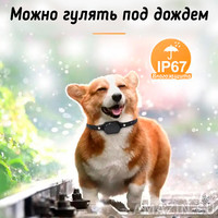 Кликните для увеличения изображения