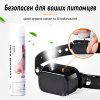 Кликните для увеличения изображения