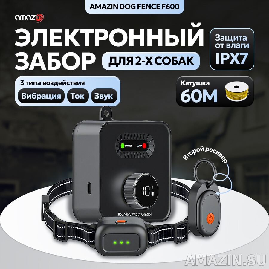 Кликните для увеличения изображения