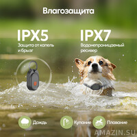 Кликните для увеличения изображения