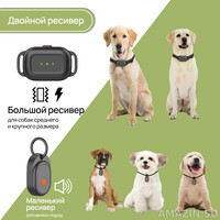 Кликните для увеличения изображения