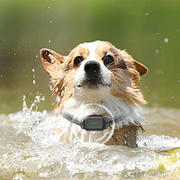 Кликните для увеличения изображения