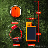 Кликните для увеличения изображения