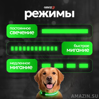 Кликните для увеличения изображения