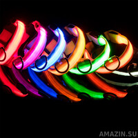 Кликните для увеличения изображения