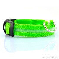 Кликните для увеличения изображения