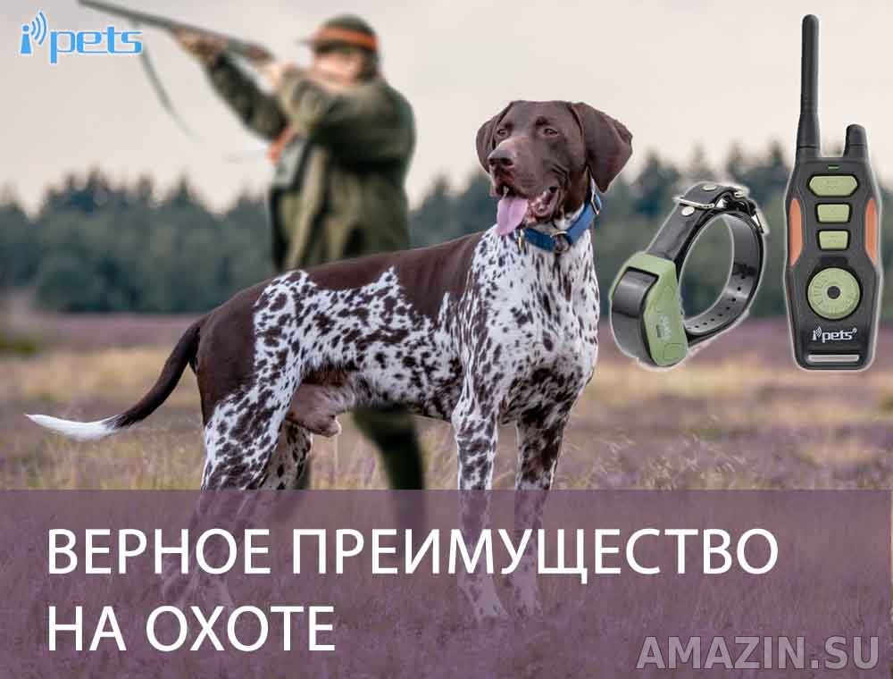 Радиоошейник для охотничьей собаки купить