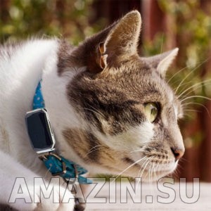 GPS трекер для кошек HaDog 03