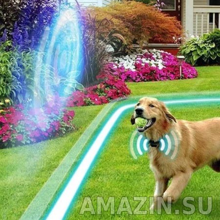 Электронный забор для собаки